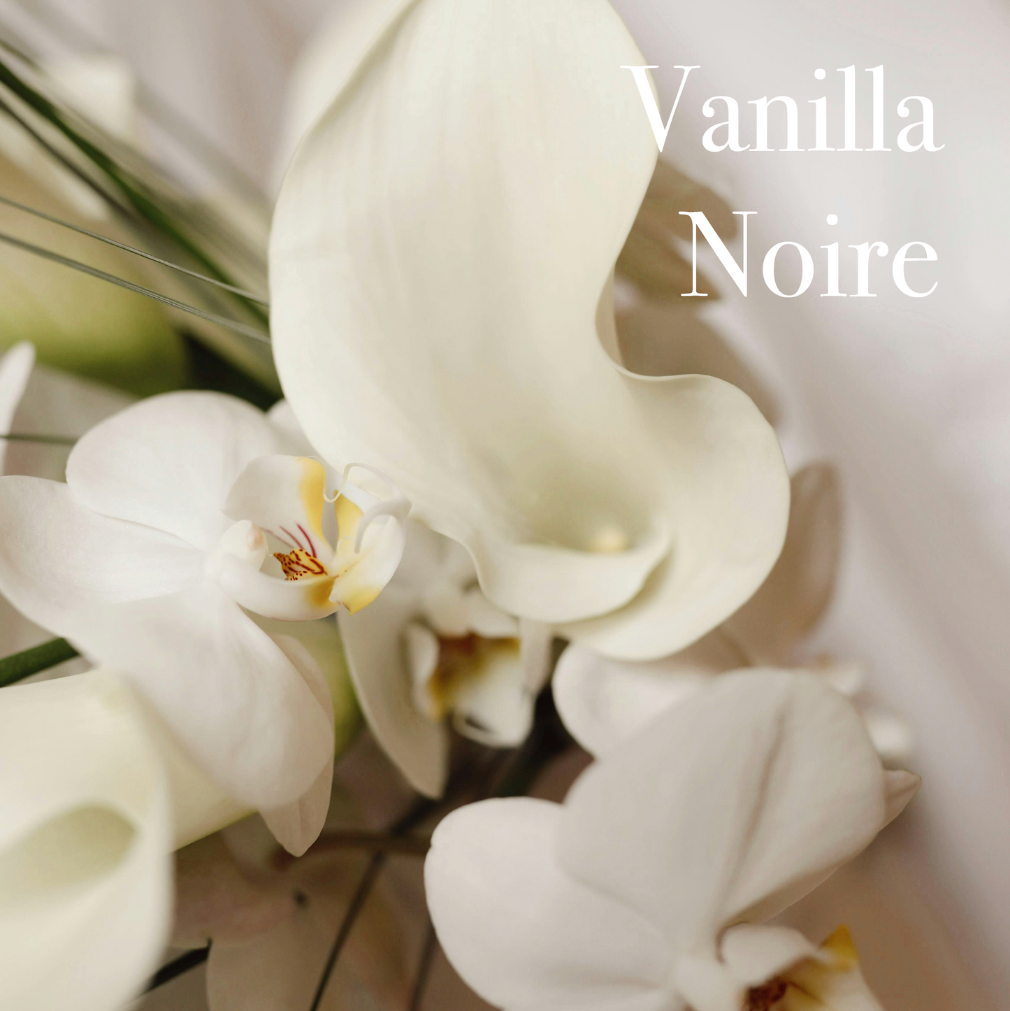 Eau de Parfum - Vanilla Noir