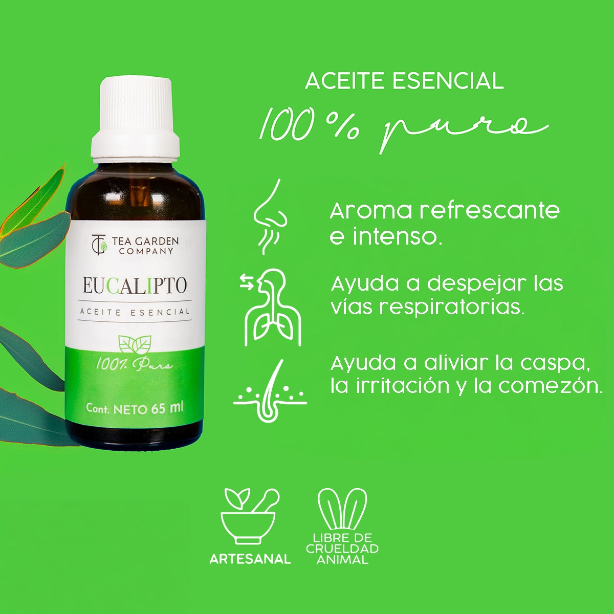 Aceite Puro Eucalipto