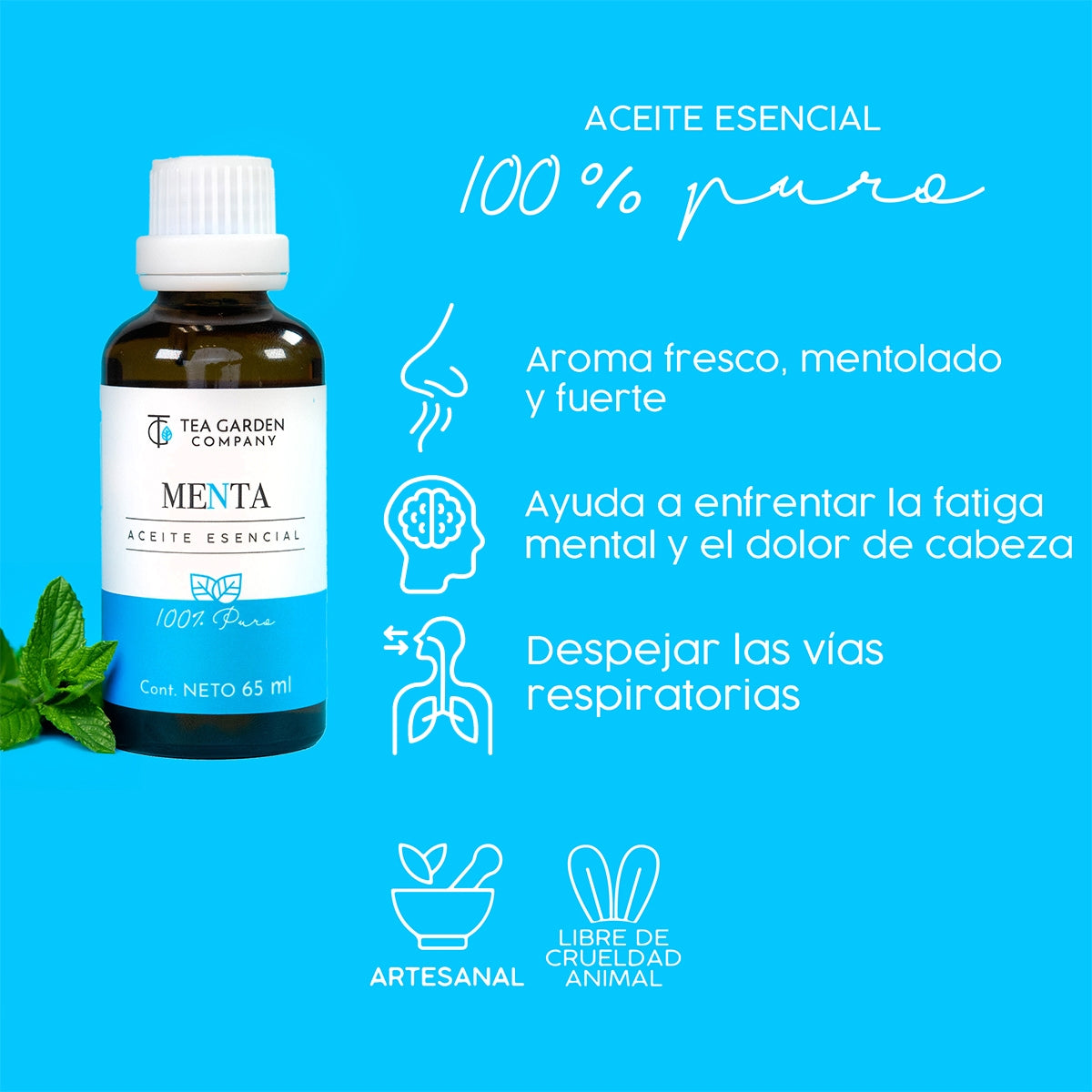 Aceite Puro Menta